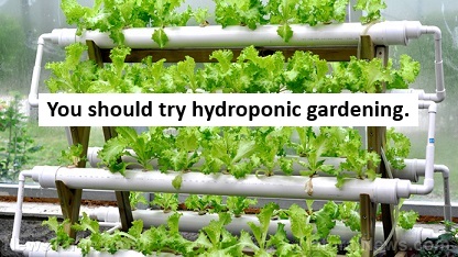 18- You should try hydroponic gardening