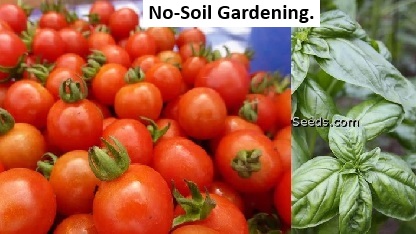 20- No-Soil Gardening.