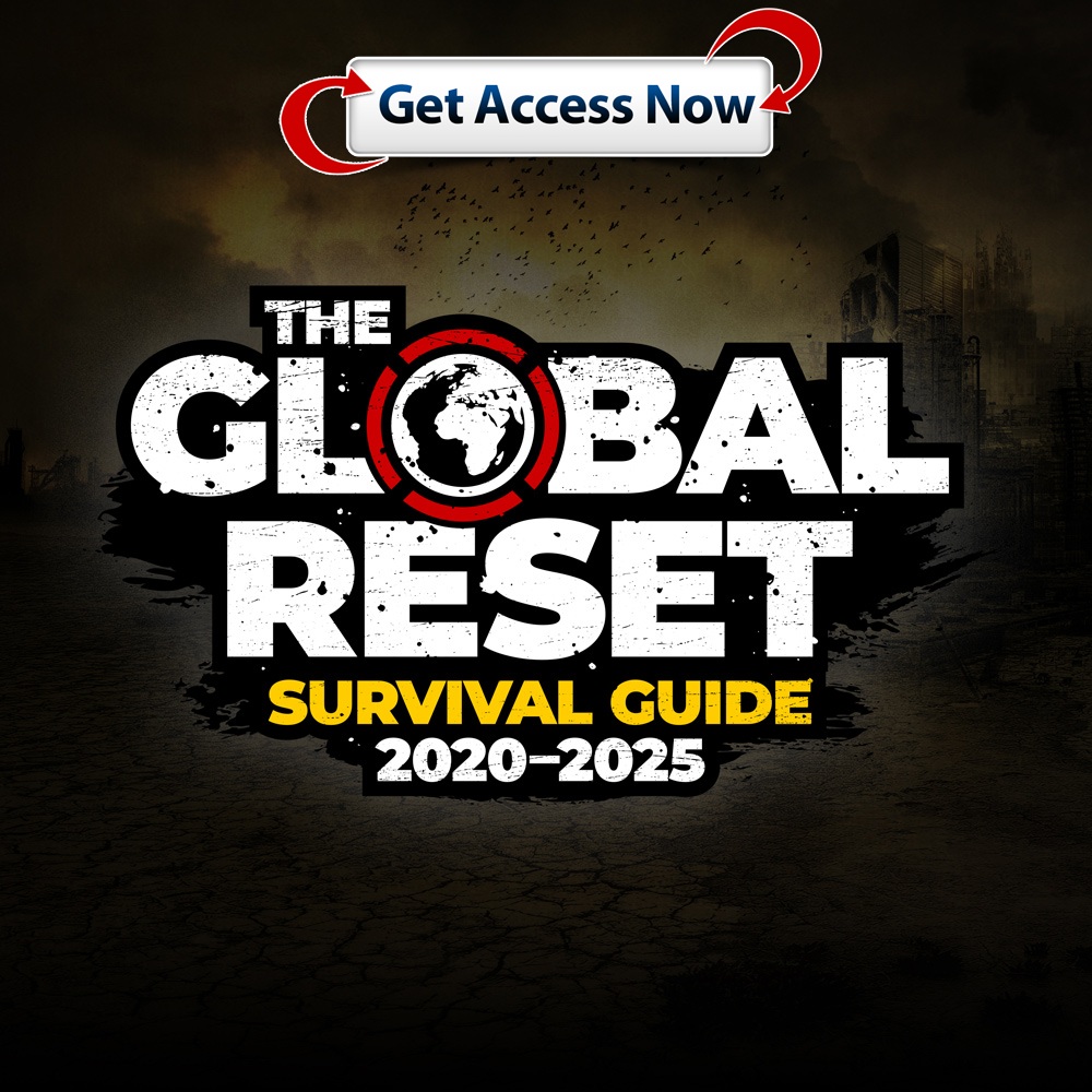 1- The Global Reset Survival Guide.